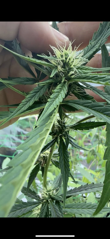 C664F47D-2F6A-4AD7-AA41-7E33FCCD2030