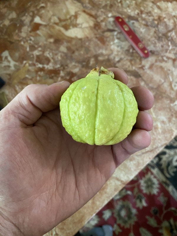 D993A7C8-9863-4E67-9629-6D7E11BC2C30