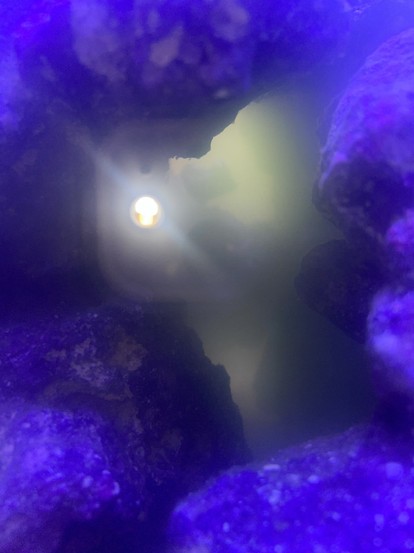 EA2577F7-9581-4E7F-B4CF-B9D9B750173F