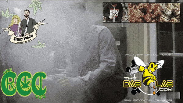 Stoney Sunday The Dab Lab The CCC420 GIF