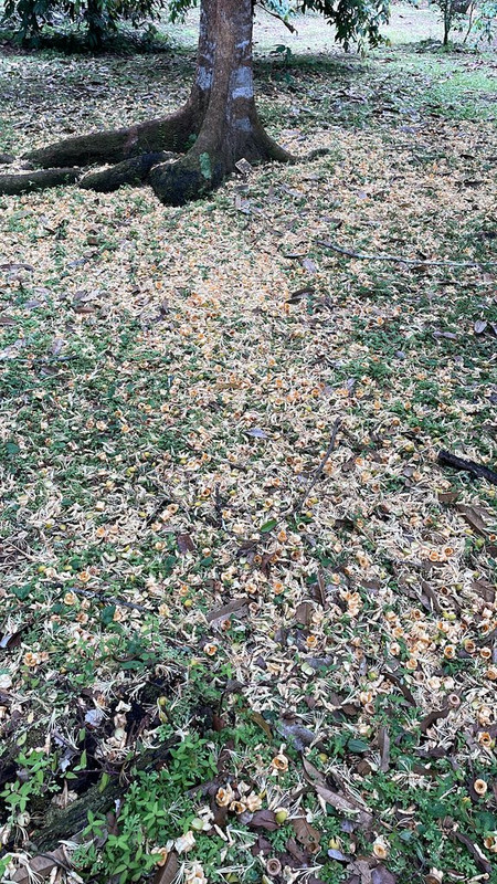 EB82FAEB-BE3D-48A9-8EE2-5107EAF3328D