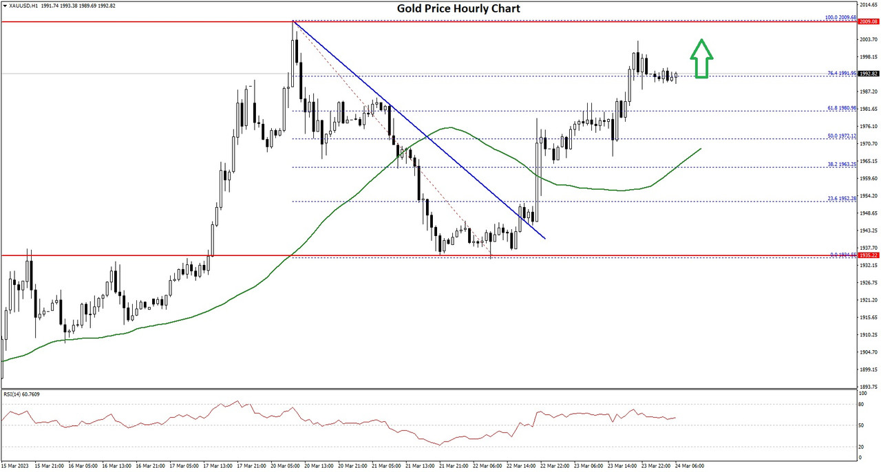 Daily Market Analysis By FXOpen in Fundamental_goldx