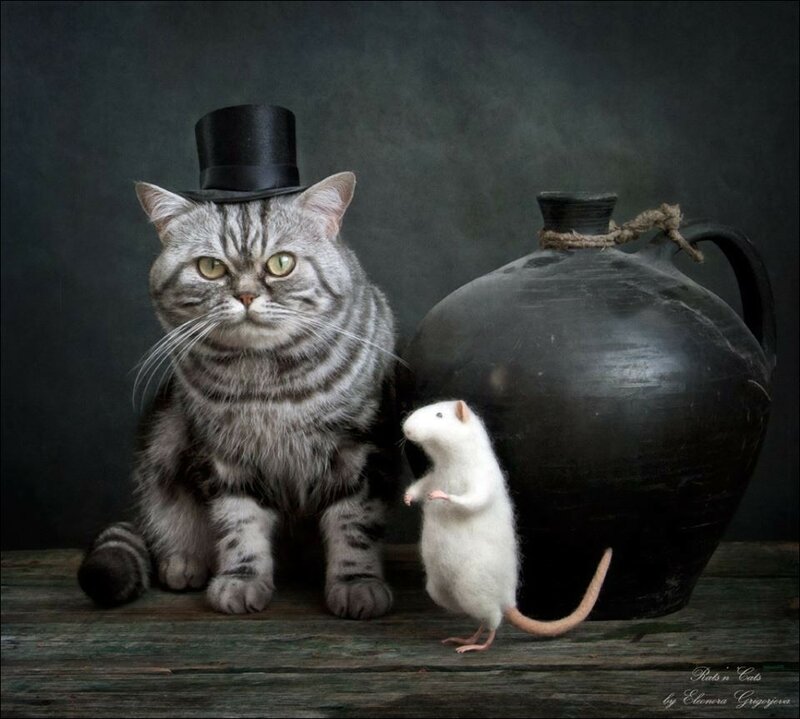 11745349-588292594607541-1040626380086939453-n