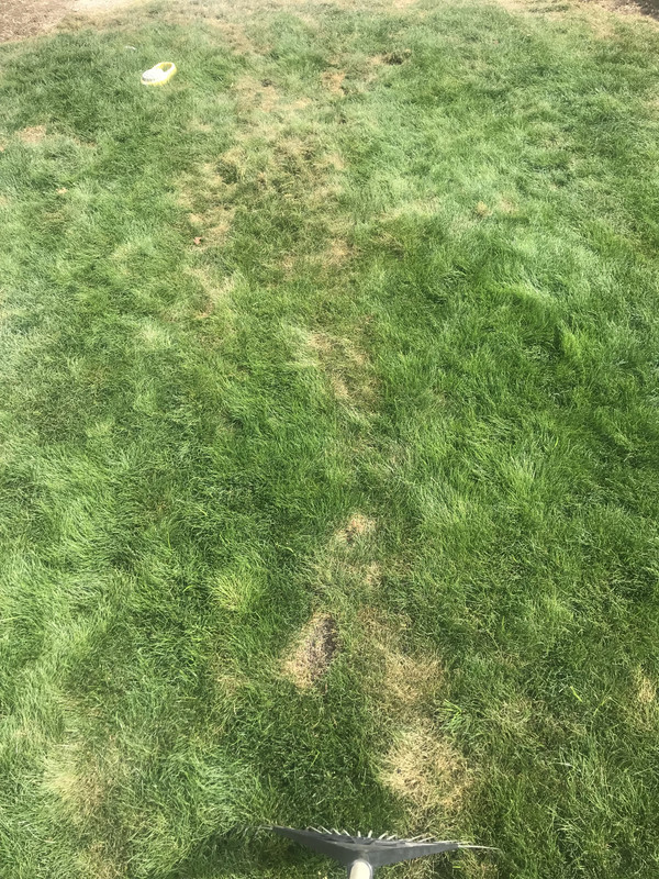 49BD435B-25F9-490A-AE8C-770565E37EDD