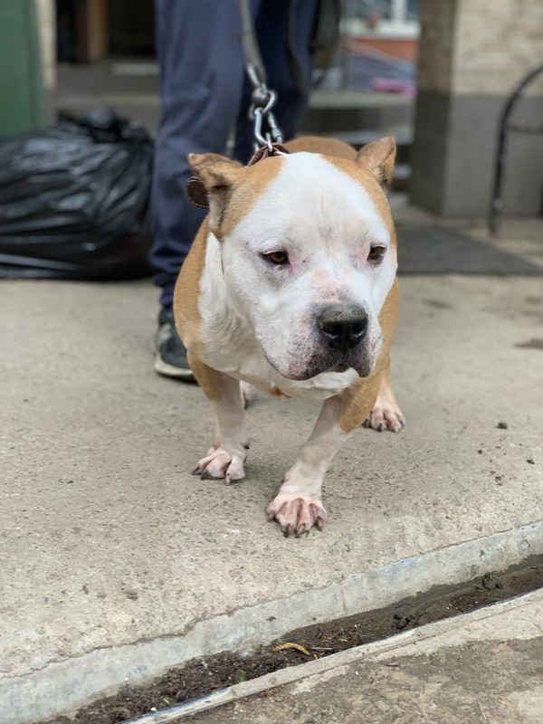 C4B405DC-F868-4B36-9F29-BF0A5B2E4F83