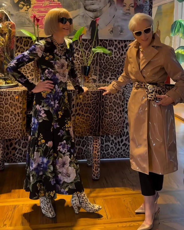 merylstreep2desertsandcolouredpvcmac.