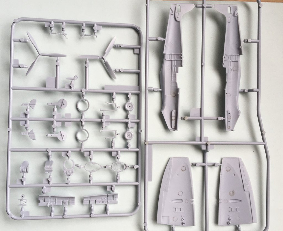 99D561D2-0679-42D9-90E6-052B3C07FA88