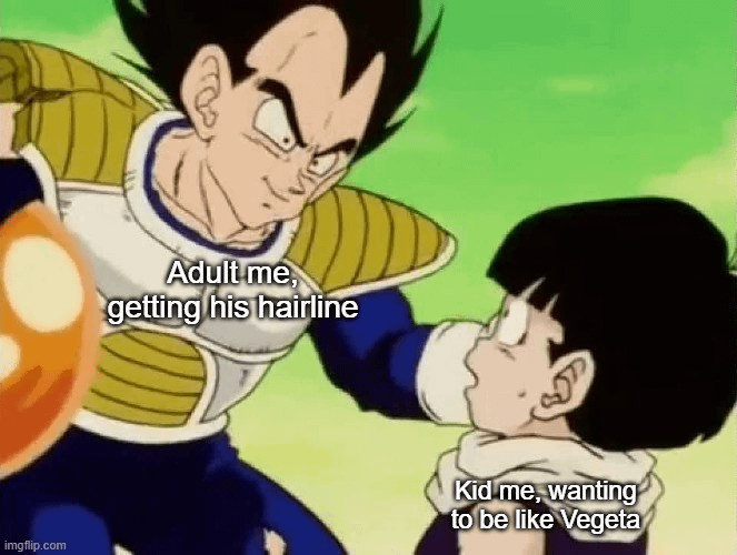 give-me-your-best-dragon-ball-memes-so-i-can-steal-them-v0-0kpnlr2yu5wd1.png