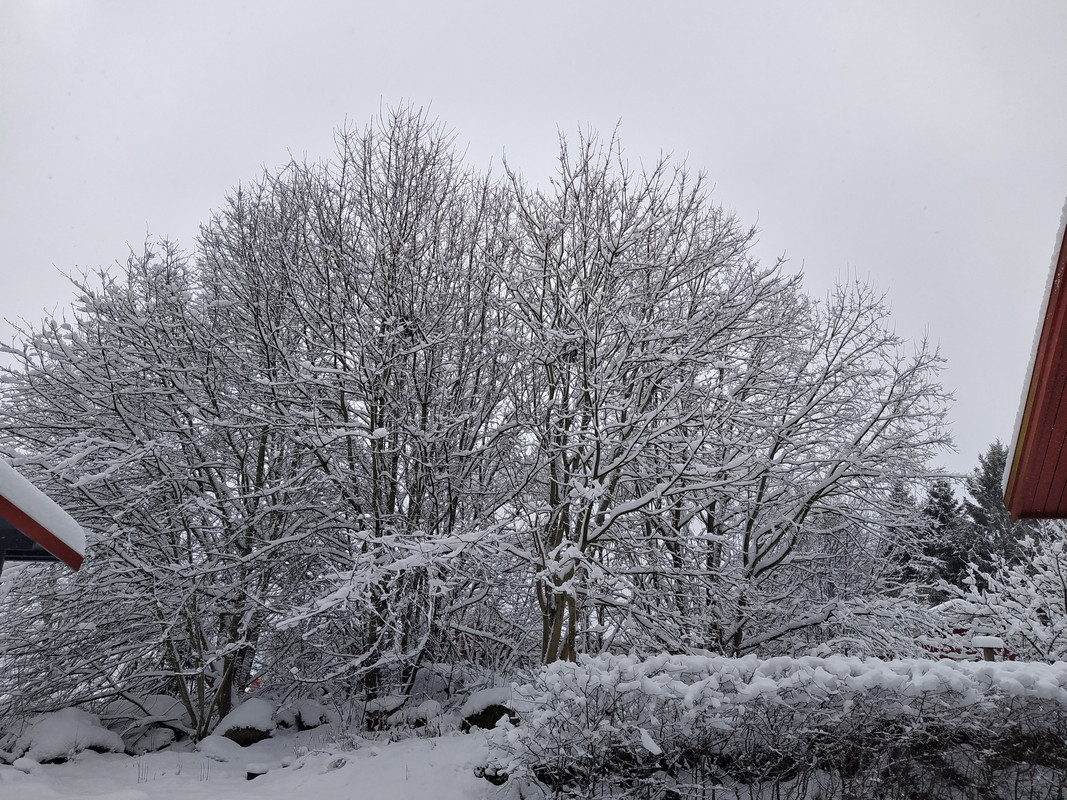 IMG_20210116_112848