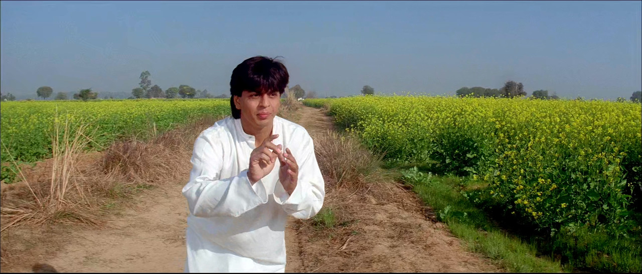 Dilwale Dulhania Le Jayenge (1995) REM (1080p BluRay x265 Natty)