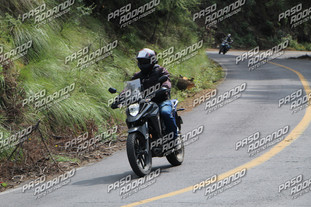 IMG 9006 wm 1198727 8 watermarked — Postimages