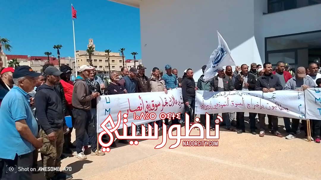 489729668-1093150166188733-7978089823267621891-n