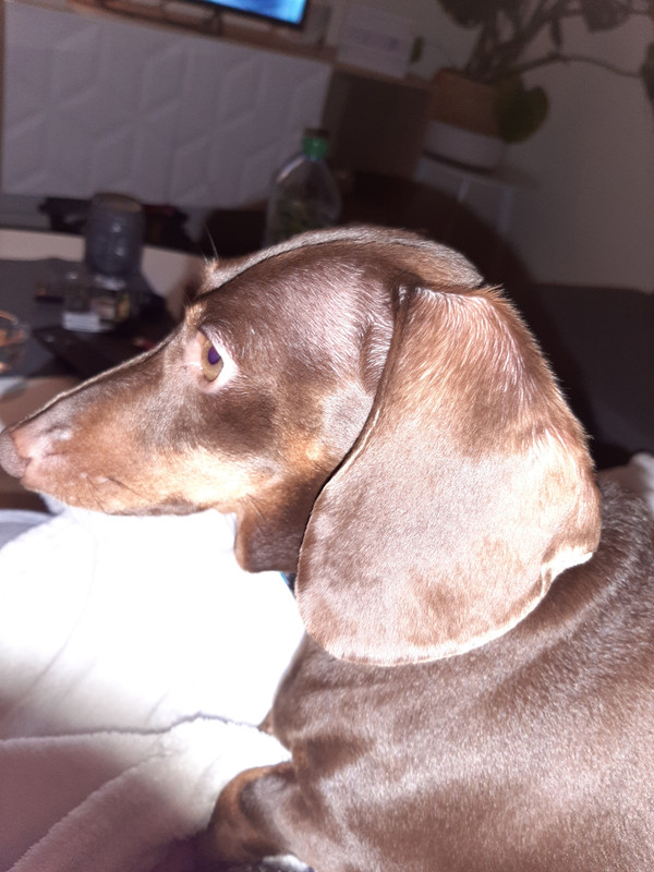 [Image: 20210124-194639.jpg]