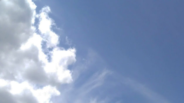 IMG-2019-05-23-101728.jpg