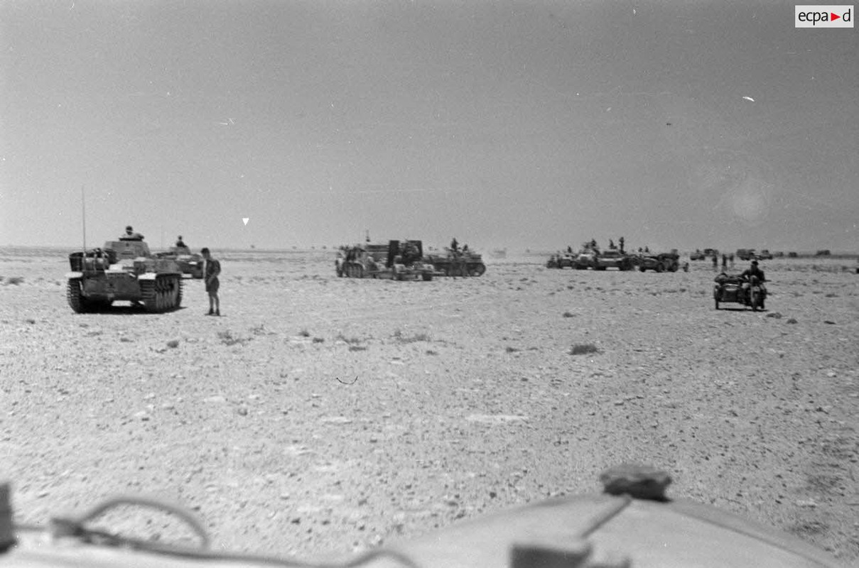 Regroupement de véhicules, des chars Panzer II et III (Pz-II et Pz-III), des blindés SdKfz-263 et un