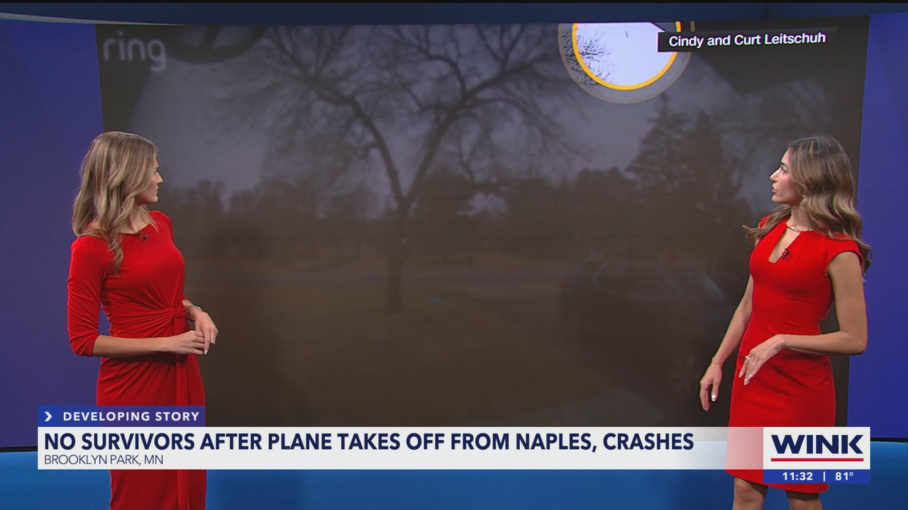 WINK NEWS at 1130am_20250330_16301700.ts_snapshot_03.19.916