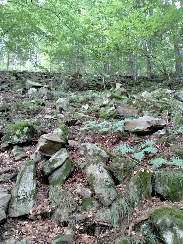 012 - IMG20210802132121