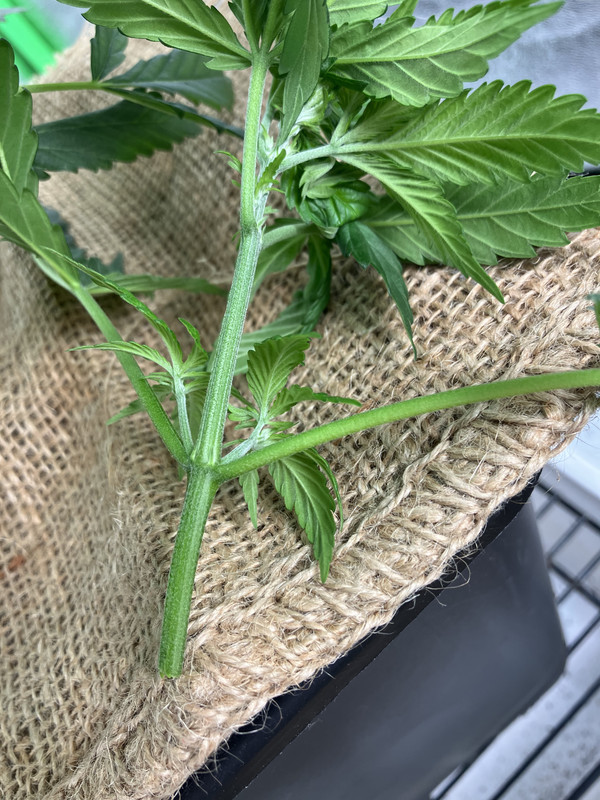 AEA06BA0-8078-400E-BB89-56384AB619F6