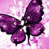 SB04-Colors-purple