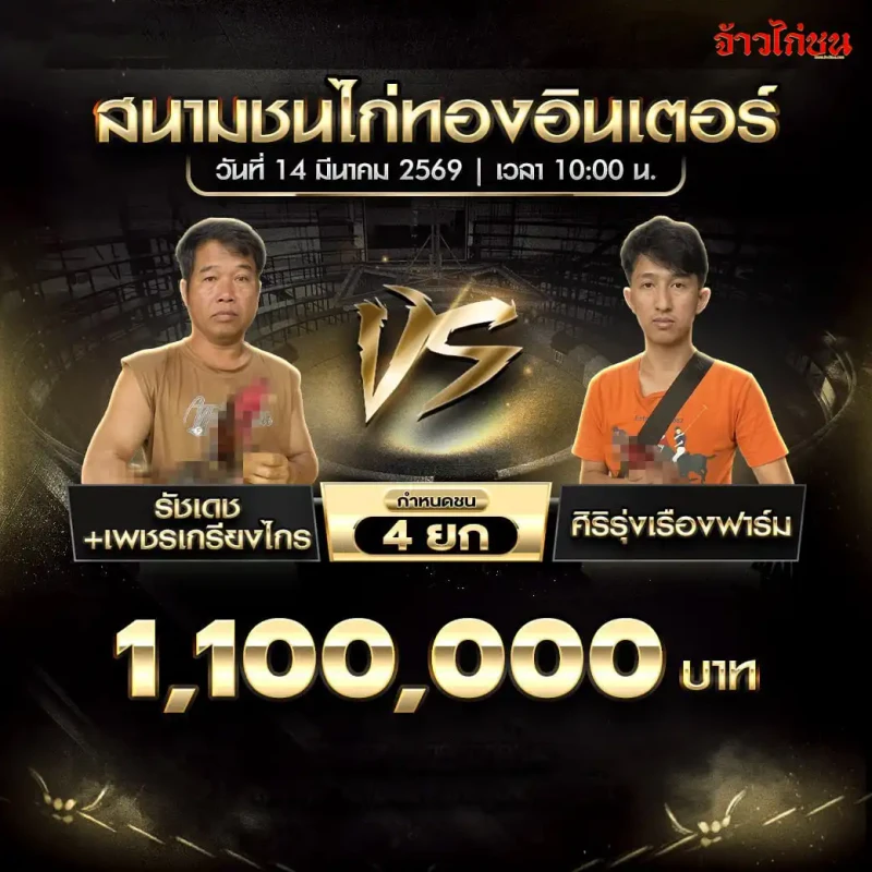 โปรแกรมไก่ชน คู่ รัชเดช+เพชรเกรียงไกร พบ ศิริรุ่งเรืองฟาร์ม สนามชนไก่ทองอินเตอร์ 14 มีนาคม 2569