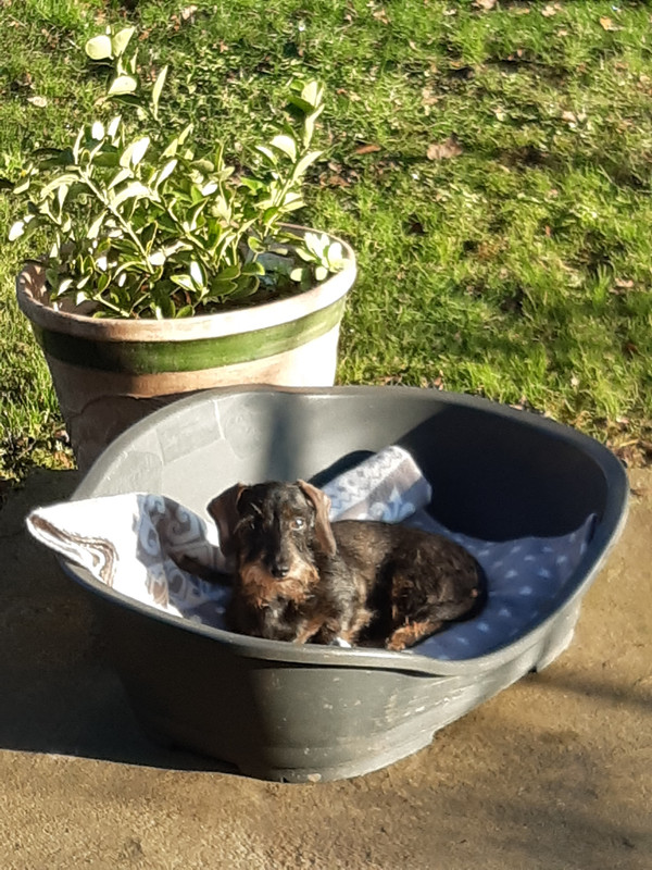 [Image: 20230103-151926.jpg]