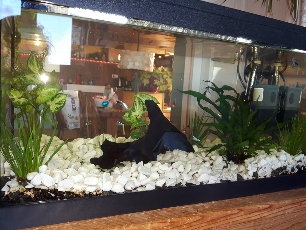 1552982013419-1834500701