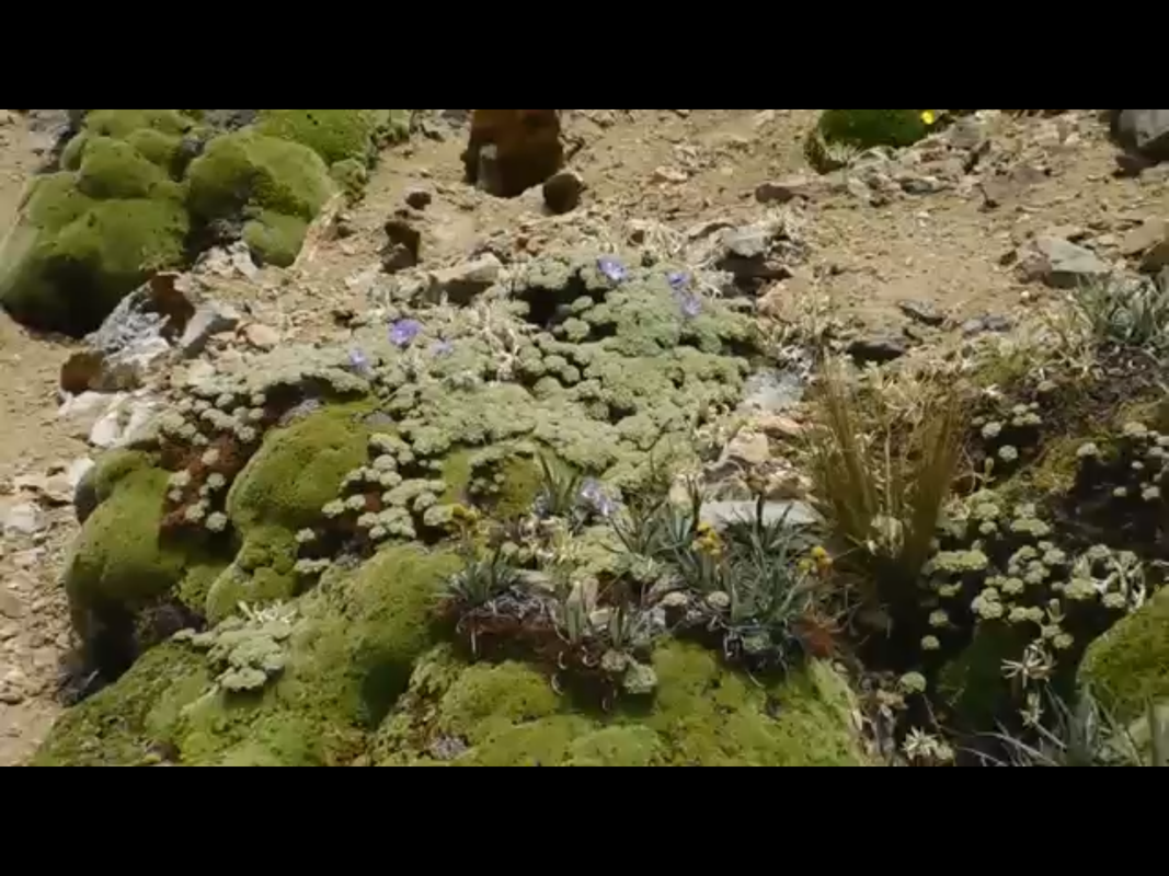 0B5892EC-30D9-4F78-885E-F138121C2625