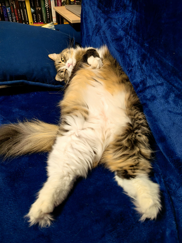 IMG_20250126_165944_edit_476986555565334