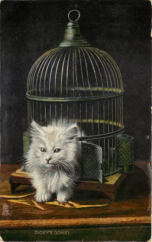 06-2011-05-31-17-32-36-000