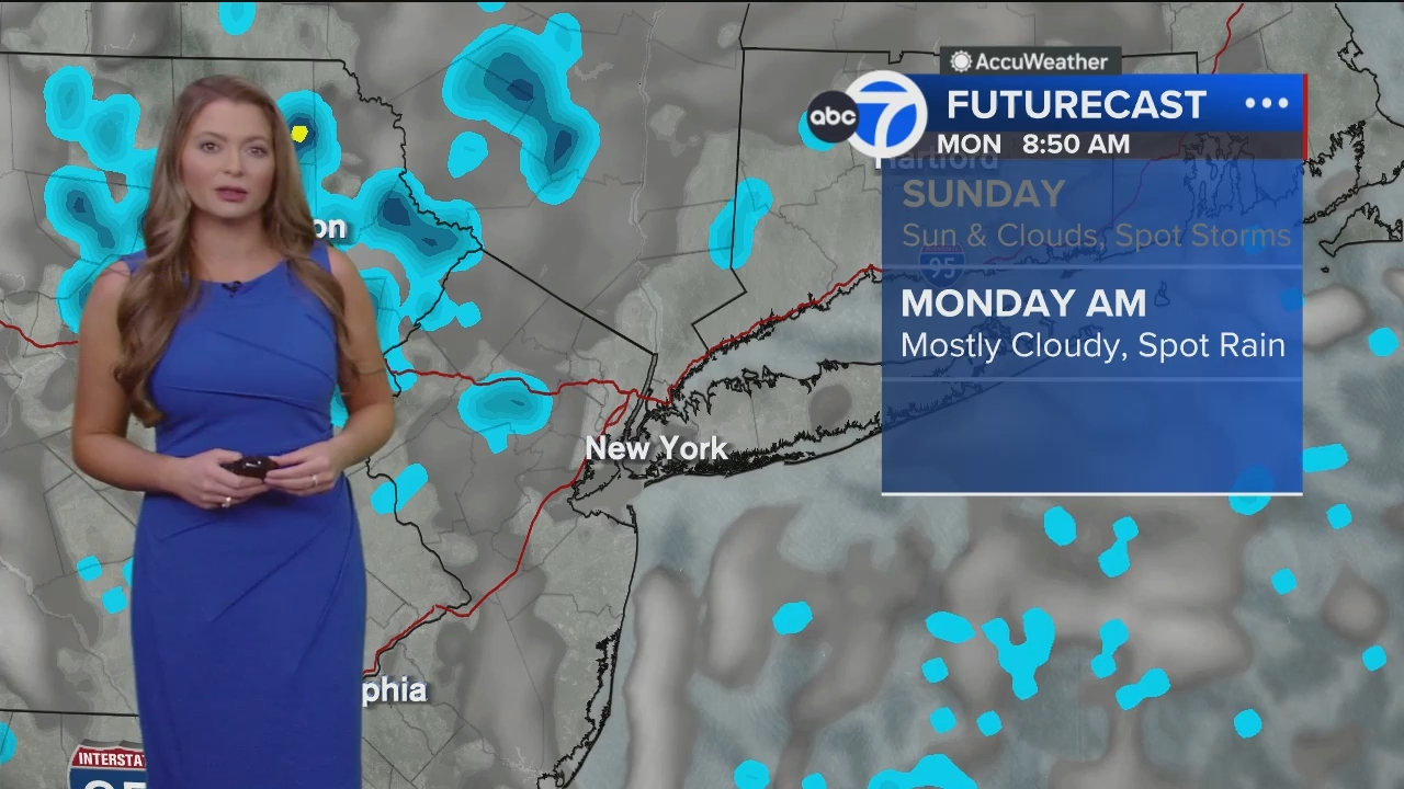 Eyewitness News Sunday Morning_20240526_11001230.ts_snapshot_00.03.12.996