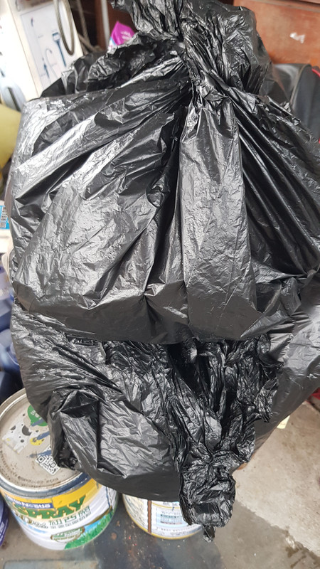 【露營瘋】【車泊車宿】【森林系露營區】-新竹五峰-輪園秘境超 【露營瘋】【車泊車宿】【森林系露營區】-新竹五峰-輪園秘境超