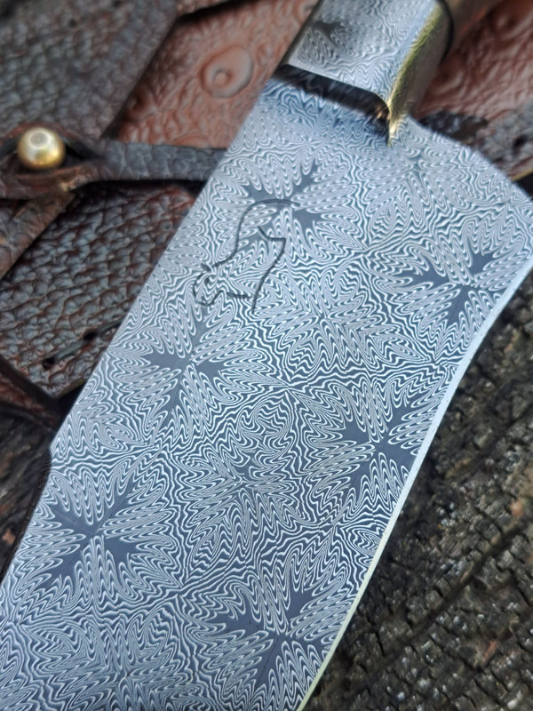 WhatsApp Image 2024-01-09 at 09.51.37 (1)