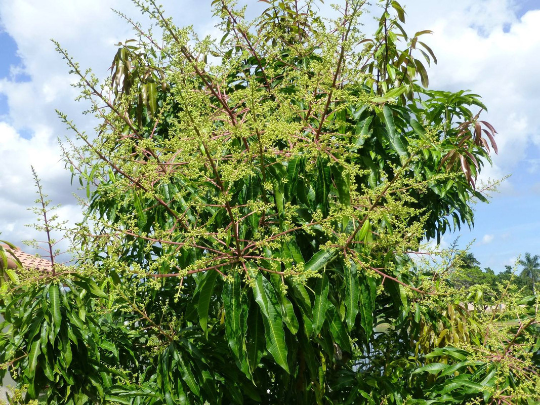 1913404_10102355973616834_88253949_o[2]