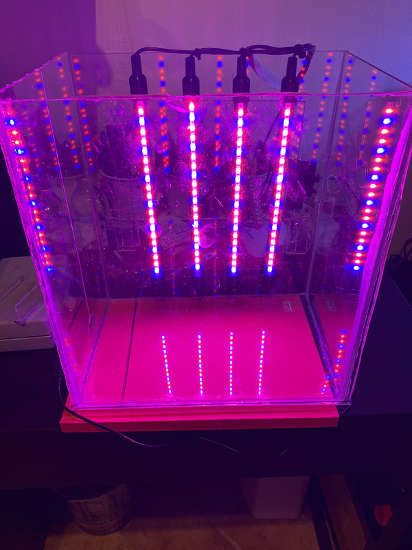 5763E49C-250E-41C8-ABBB-92855A463C5D