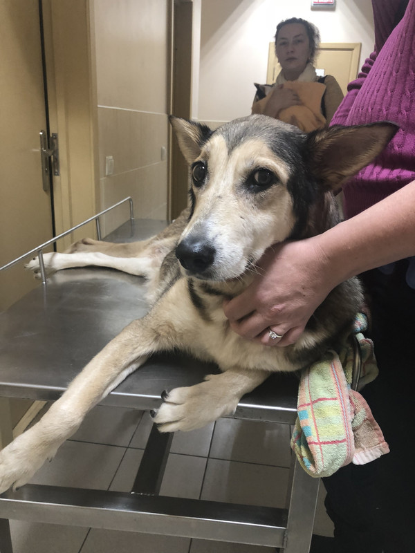 0A745029-16DC-4CDC-8A5A-43C6BE28EF52