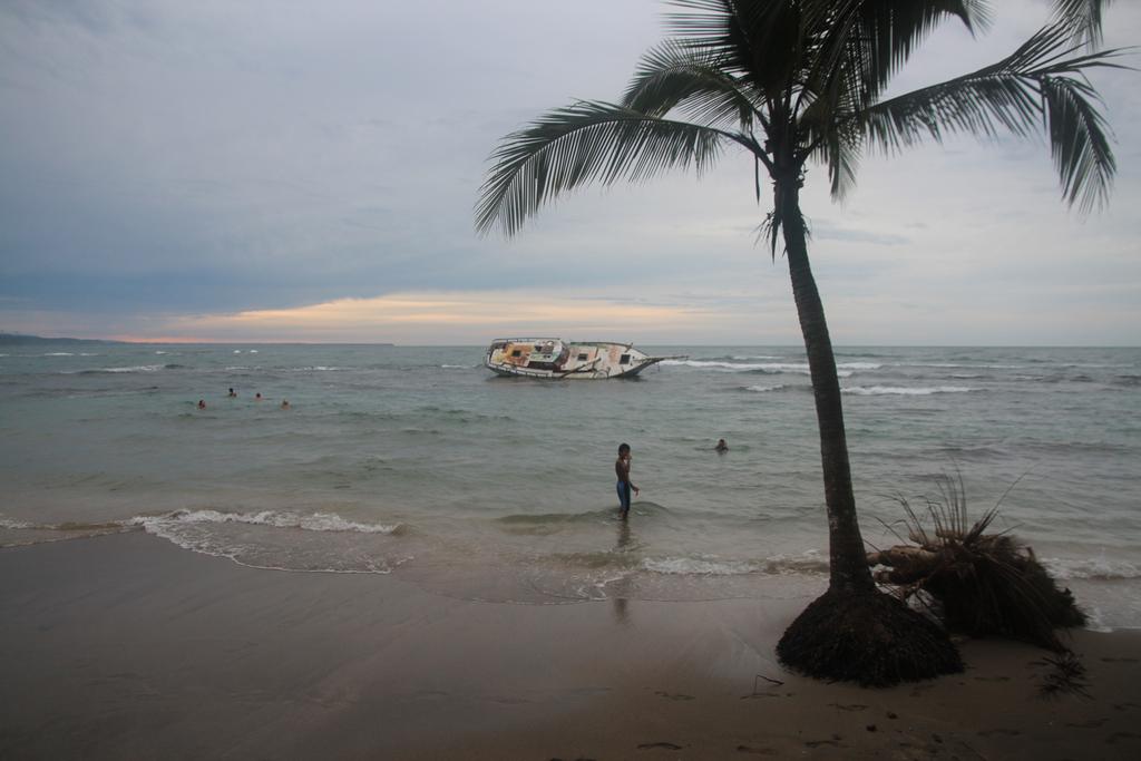 DE TORTUGAS Y PEREZOSOS. COSTA RICA 2019 - Blogs de Costa Rica - DÍA 5: PARQUE NACIONAL CAHUITA (32)