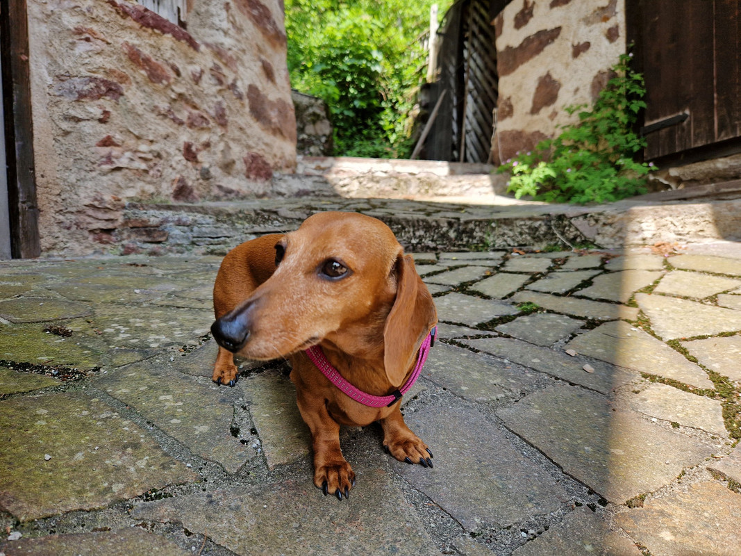 [Image: 20250610-122438-TSDF.jpg]