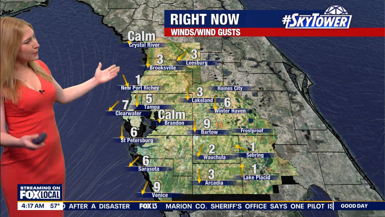 FOX13s Good Day Tampa Bay at 400am_20240321_08000830.ts_snapshot_00.19.31.965