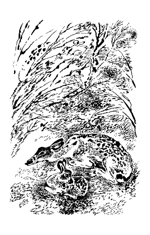 1993-page-0045