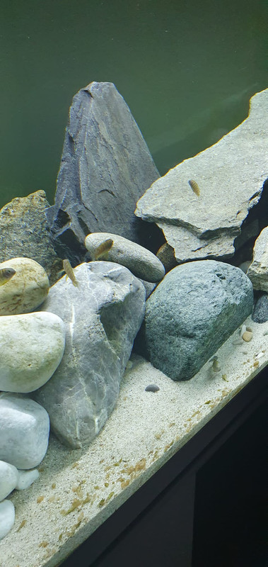 4FE9EA7A-3704-4392-B33D-0964A69D8296