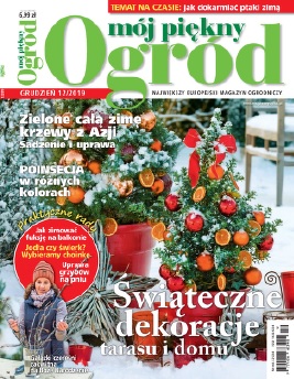 Mój Piękny Ogród 12/2019