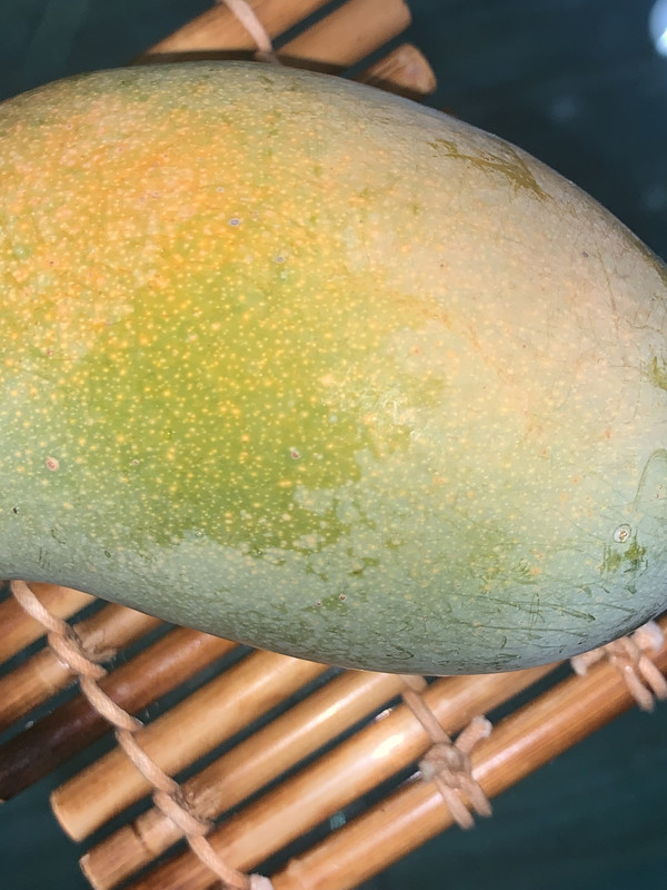 984067C0-3F1B-4476-B819-BB4D9F11E7D7