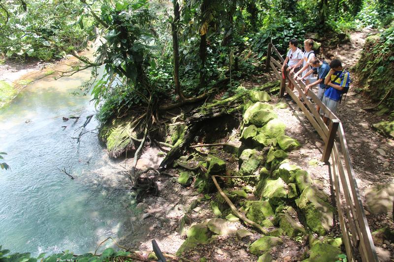 DIA 10: RIO CELESTE - DE TORTUGAS Y PEREZOSOS. COSTA RICA 2019 (27)