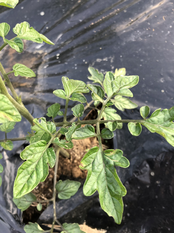 E568487C-2D20-4509-8BE2-5D9AD968D923