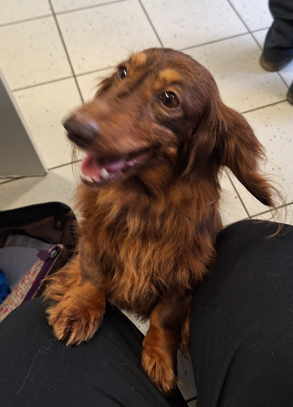 [Image: 20240312-141708.jpg]