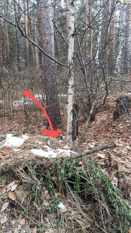 photo_29_2025-10-16_16-03-01