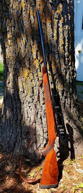 20240801 133213 resized 1