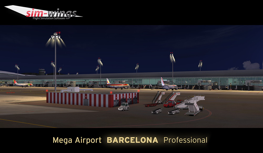 barcelona-professional (10)