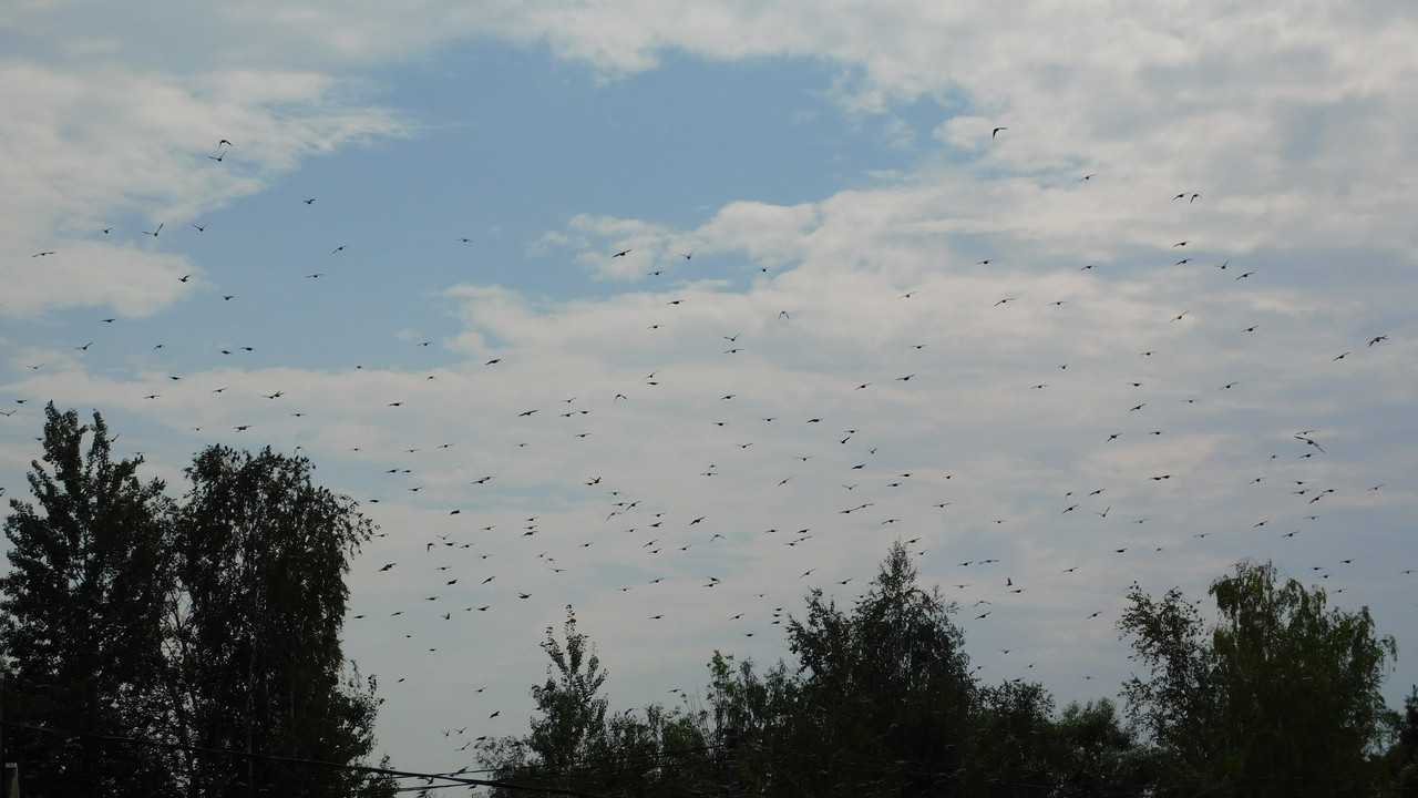 Август дачный кукольный 2023 263