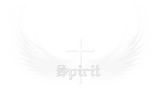 000000SpiritLogoWhite